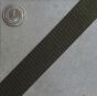 Webbing TS548 25 mm [yellow olive IRR] PASAMON