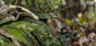 Fabric 500 Denier Nylon WESTRIDGE™ [Multicam Tropic™] 1947 LLC - 3